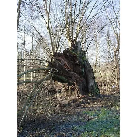 Σπίτι διακοπών Spreewald Break Modern Retreat